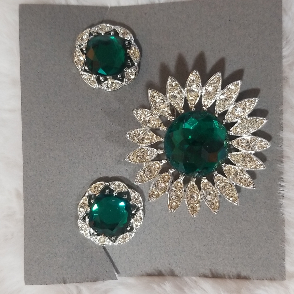 CLIP EARRINGS & pin